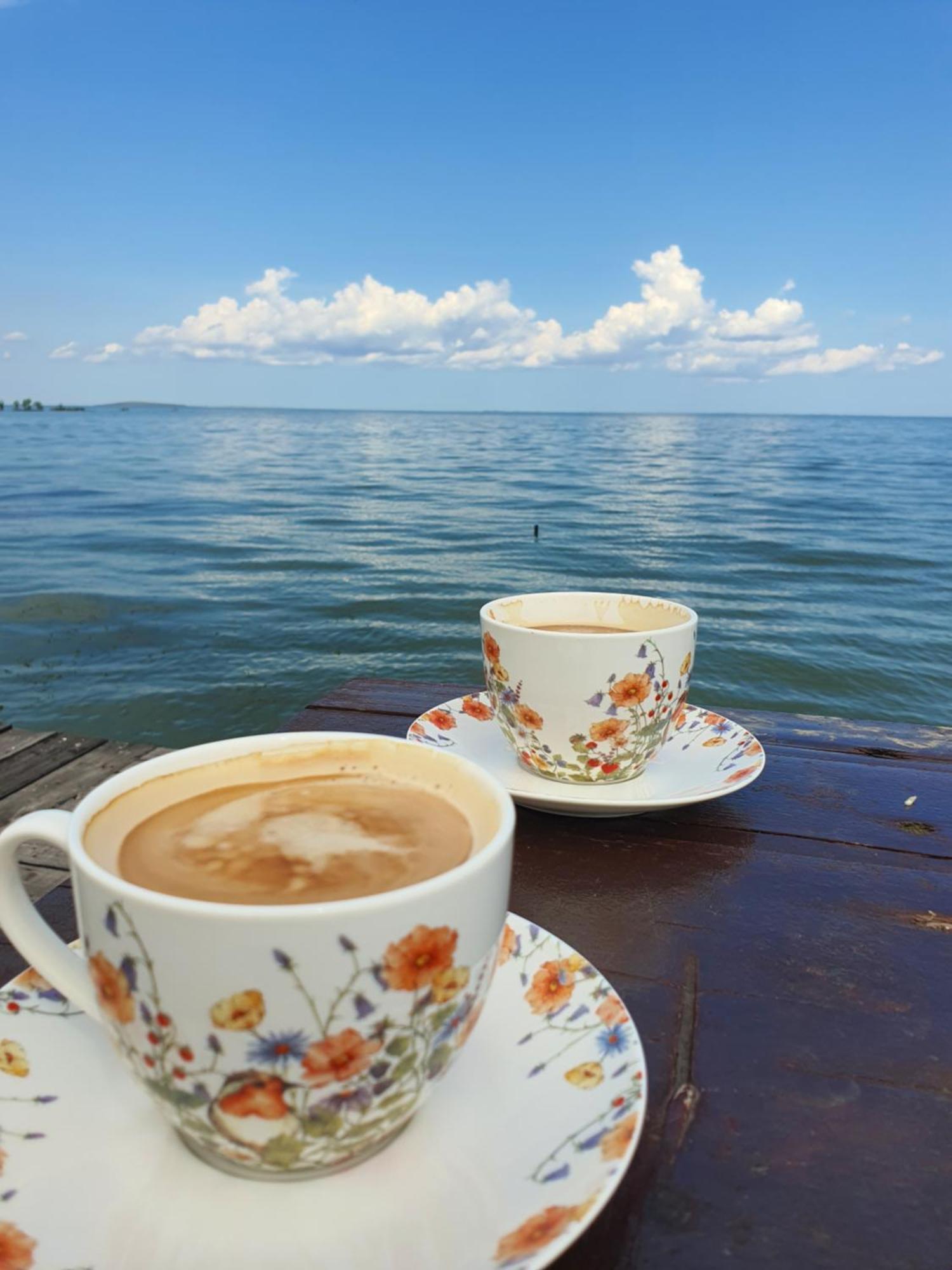Poarta Apelor Hotel Sarichioi Buitenkant foto